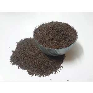 Generic Mustard Microgreen Seeds – Easy to Grow, Quick Harvest