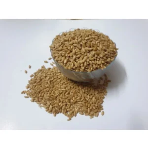 Generic Wheatgrass Microgreen Seeds – Easy to Grow, Quick Harvest